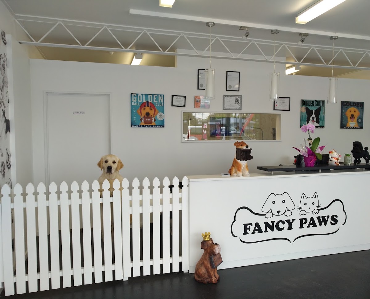 Fancy Paws Pet Grooming reception with the original business logo